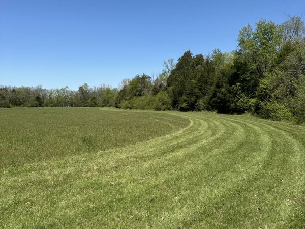 0 Zion Hill Rd , Unionville, TN 37180