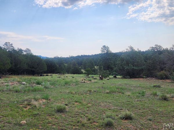 1262 35th Trail, Texas Creek, CO 81223