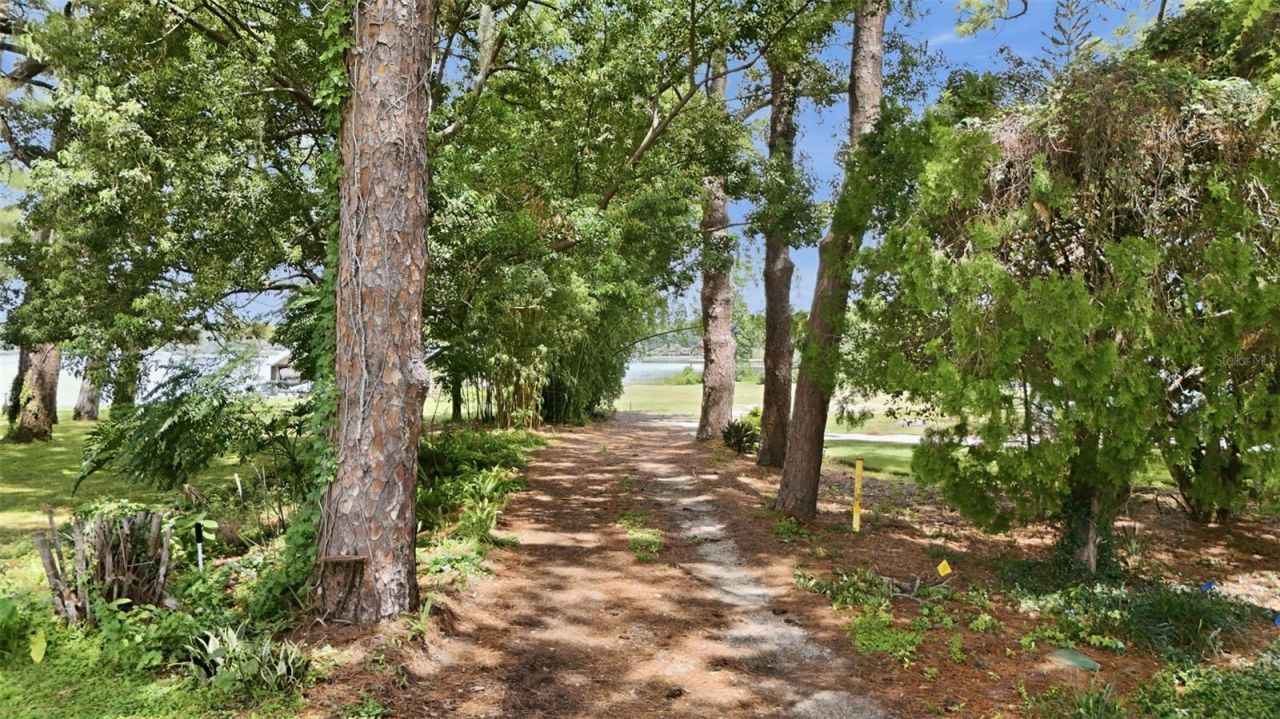 1810 Pineway Court , Mount Dora, FL 32757 Photo