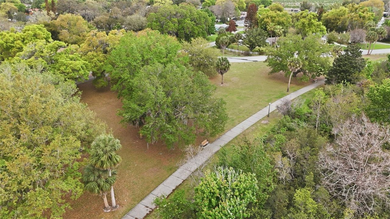1810 Pineway Court , Mount Dora, FL 32757 Photo