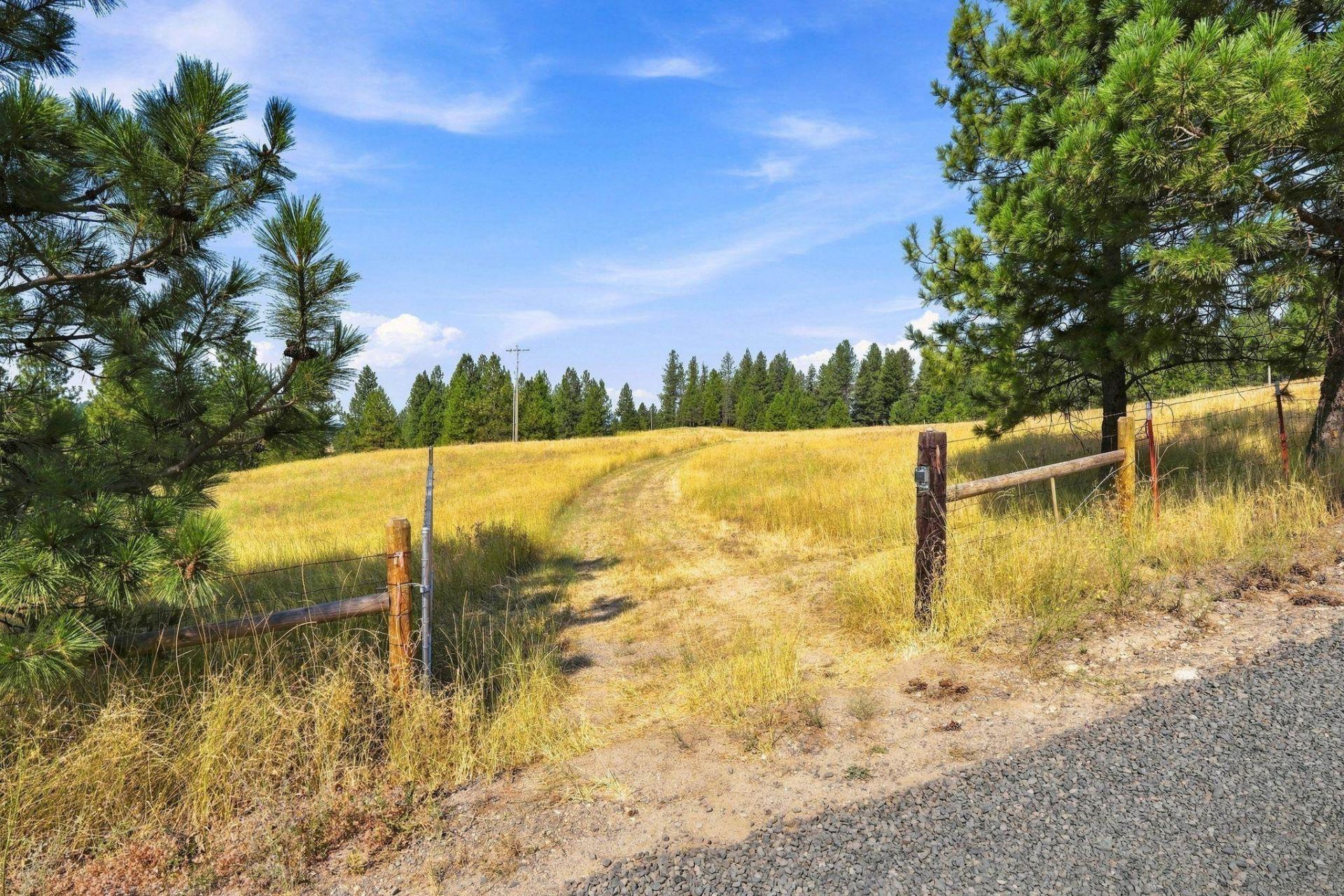 0 N Scotts Ridge Ln, Chattaroy, WA 99003 Main Photo