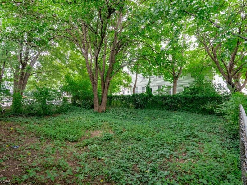 823 Starkweather Avenue, Cleveland, OH 44113 Photo 2