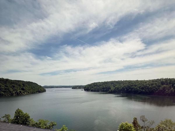 Lot W2 County Road 448, Crane Hill, AL 35053