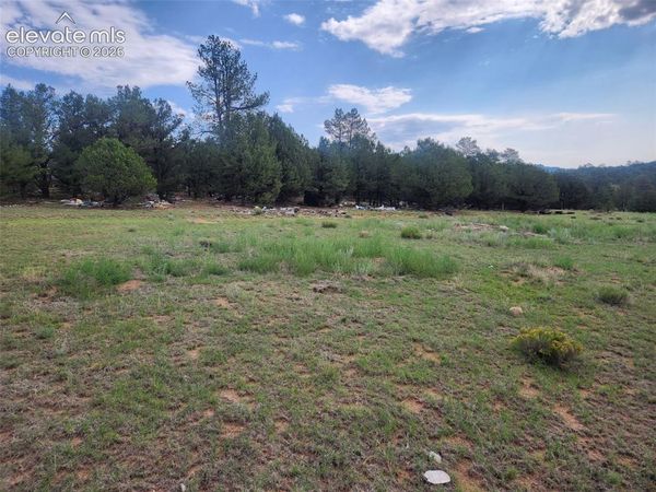 1262 35th Trail, Texas Creek, CO 81223
