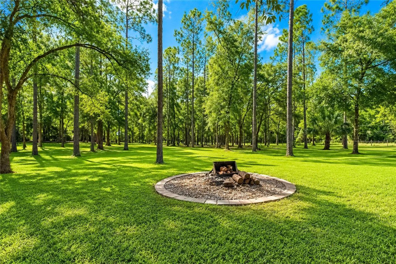 13711 NE 8th Street , Williston, FL 32696 Photo