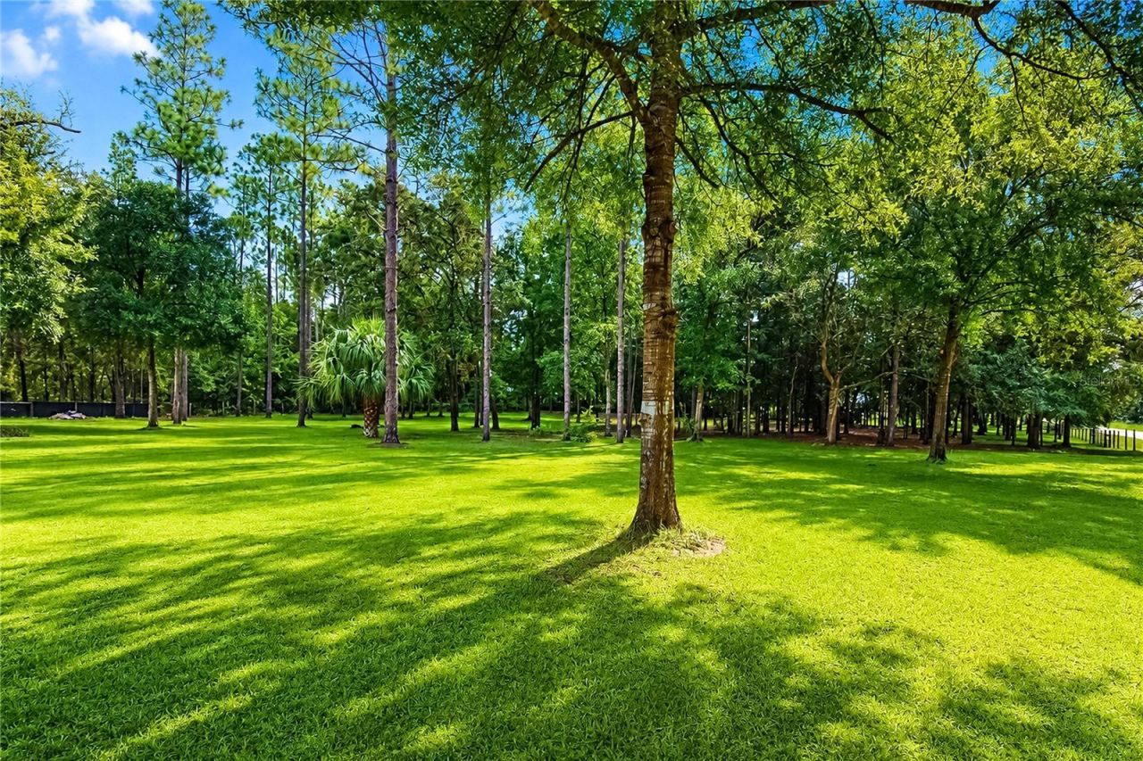 13711 NE 8th Street , Williston, FL 32696 Photo