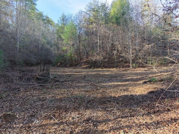 0 Bakers Creek Road , Old Fort, TN 37362
