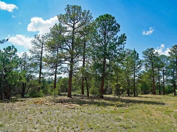 TBD Hummingbird Trail, Ridgway, CO 81432
