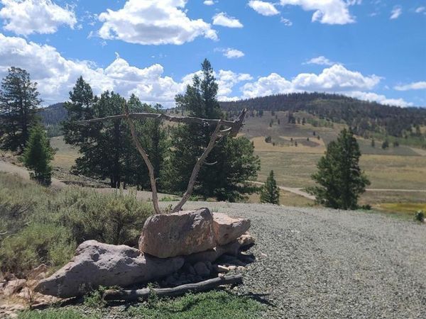 457 Castle Circle, Powderhorn, CO 81243