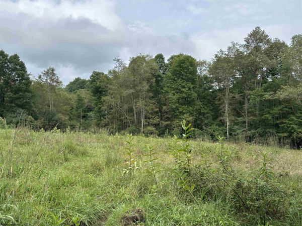 96 Donnie Hill Road, Belington, WV 26250