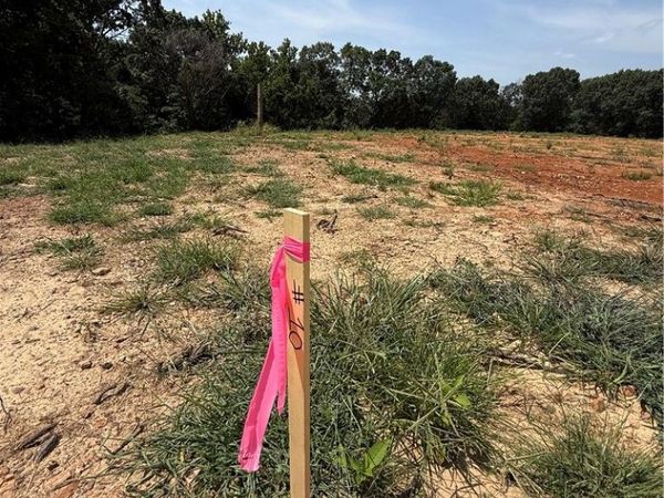 Lot 10 Little Street , Seligman, MO 65745