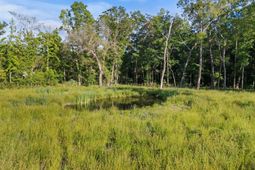 5339 Highway 162 photo 4