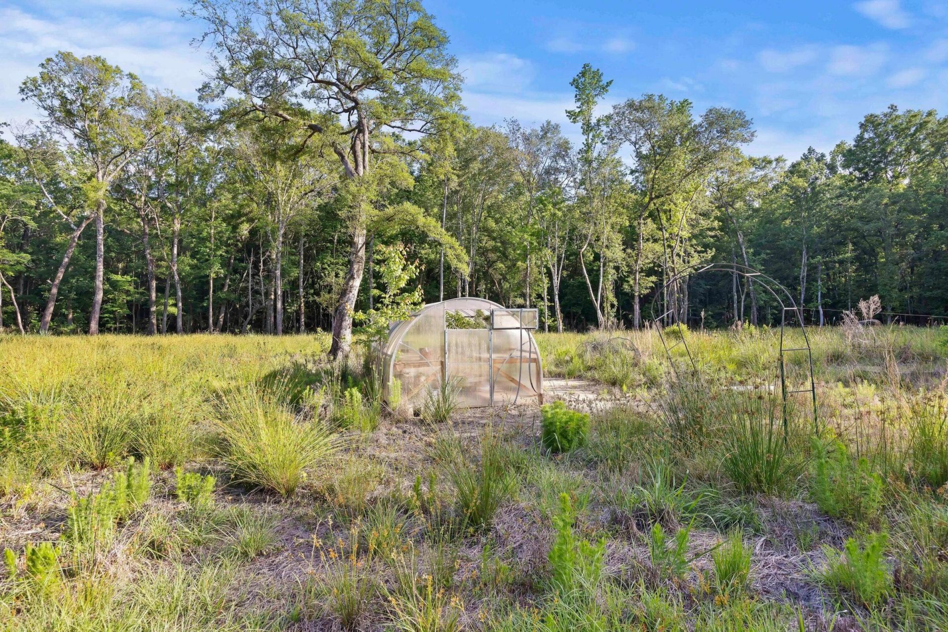 5339 Highway 162 Photo 6