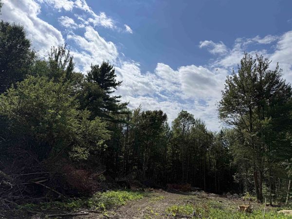 1103 North Road, Eden, VT 05652