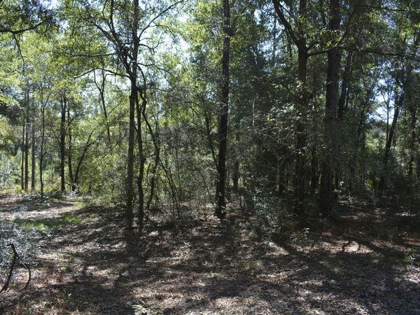 xxx 32 ac. Aplin Road, Crestview, FL 32539