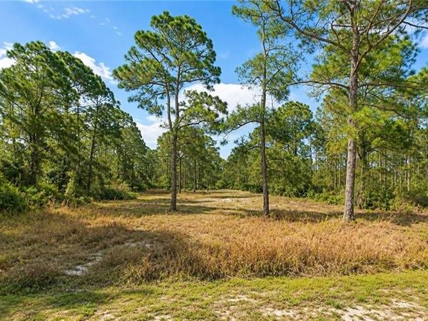 2206 Jefferson AVE , ALVA, FL 33920