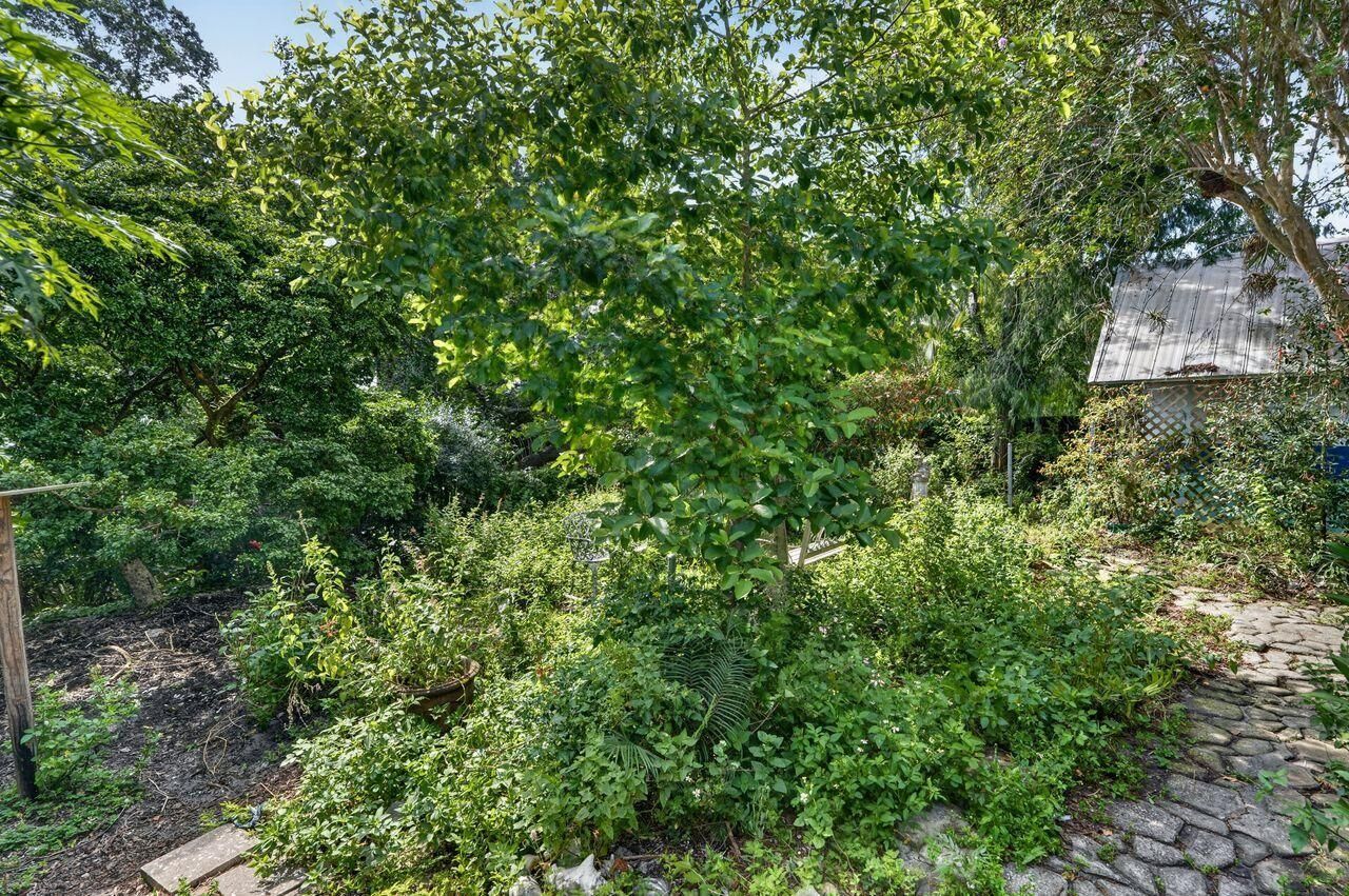 303 S Delaware Boulevard, Jupiter, FL 33458 Photo