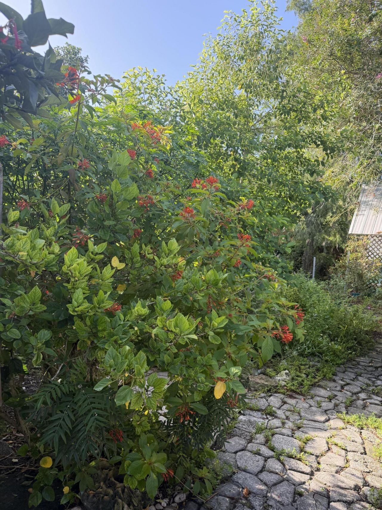 303 S Delaware Boulevard, Jupiter, FL 33458 Photo