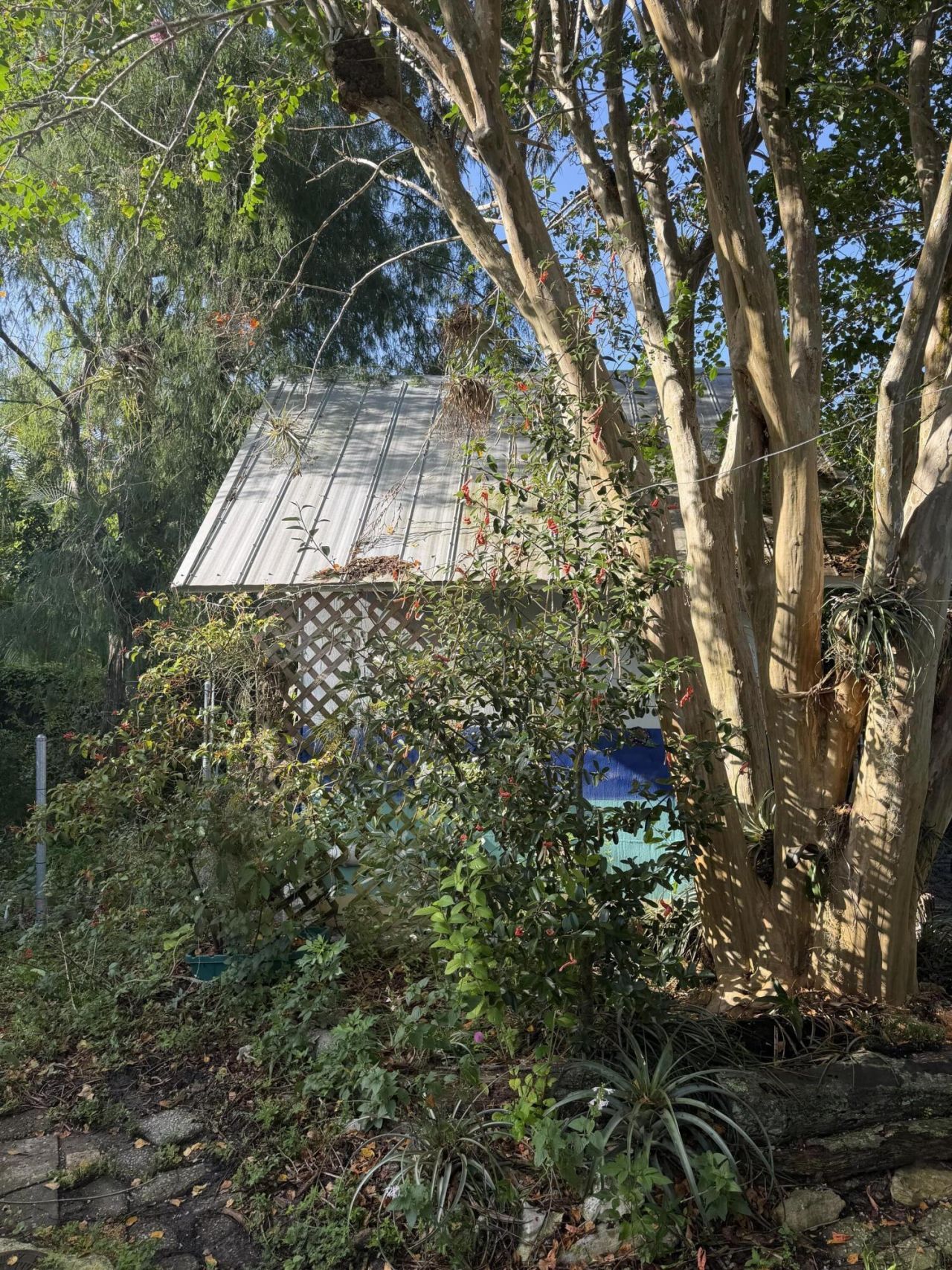 303 S Delaware Boulevard, Jupiter, FL 33458 Photo