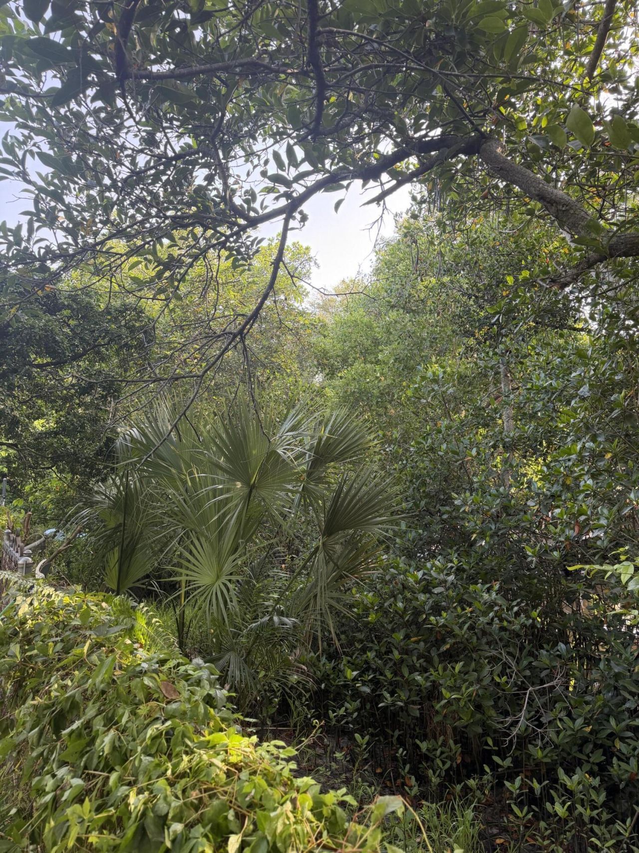 303 S Delaware Boulevard, Jupiter, FL 33458 Photo