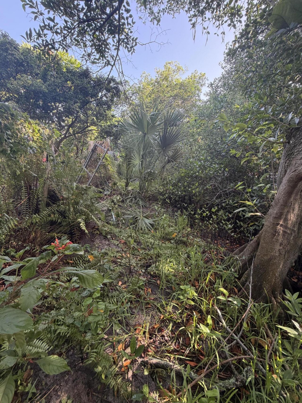 303 S Delaware Boulevard, Jupiter, FL 33458 Photo