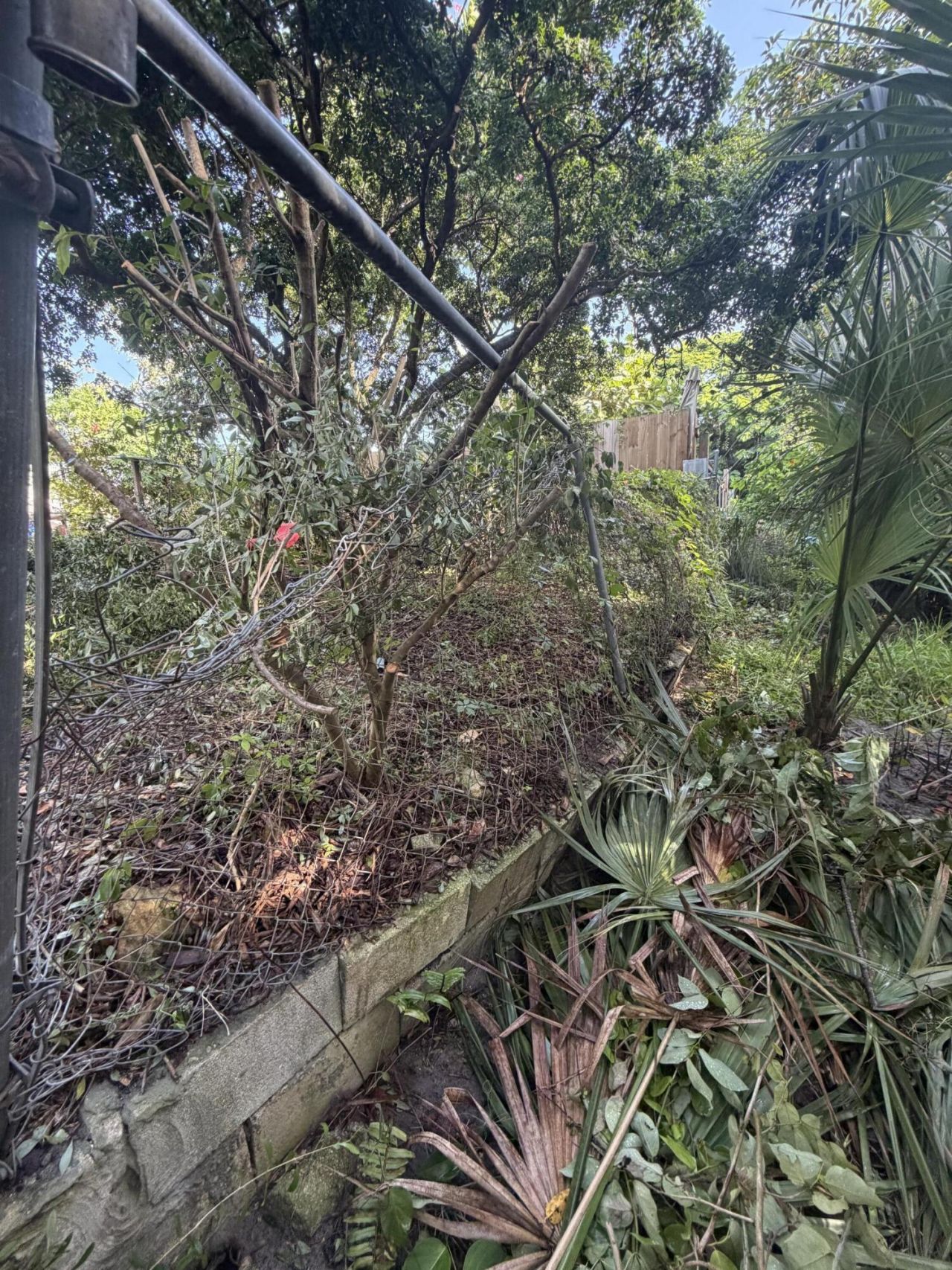 303 S Delaware Boulevard, Jupiter, FL 33458 Photo
