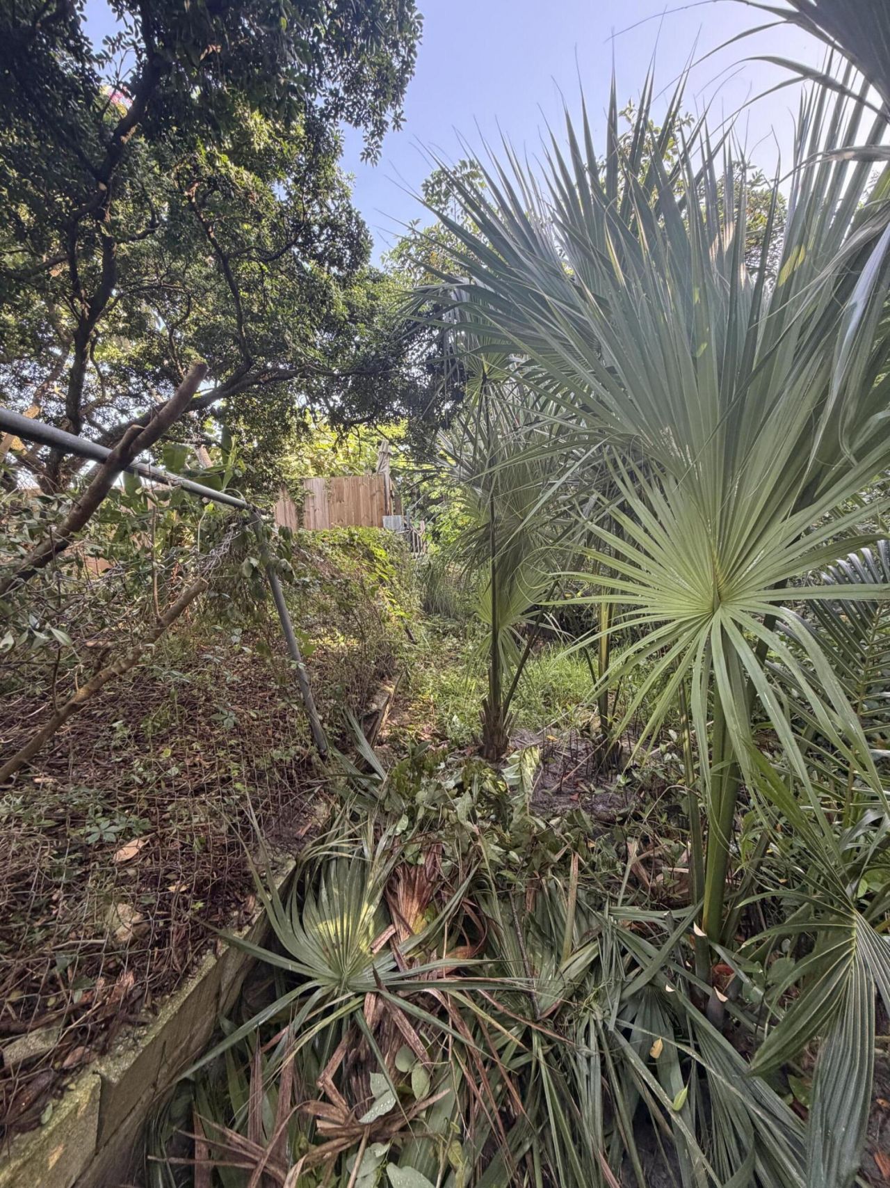 303 S Delaware Boulevard, Jupiter, FL 33458 Photo