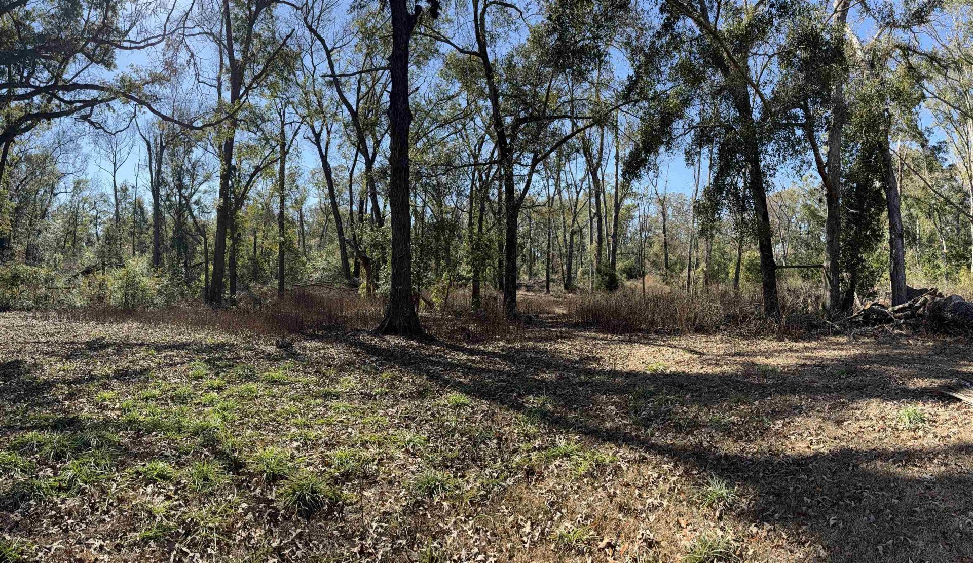 18865 89th Road , Other Florida, FL 32062 Photo