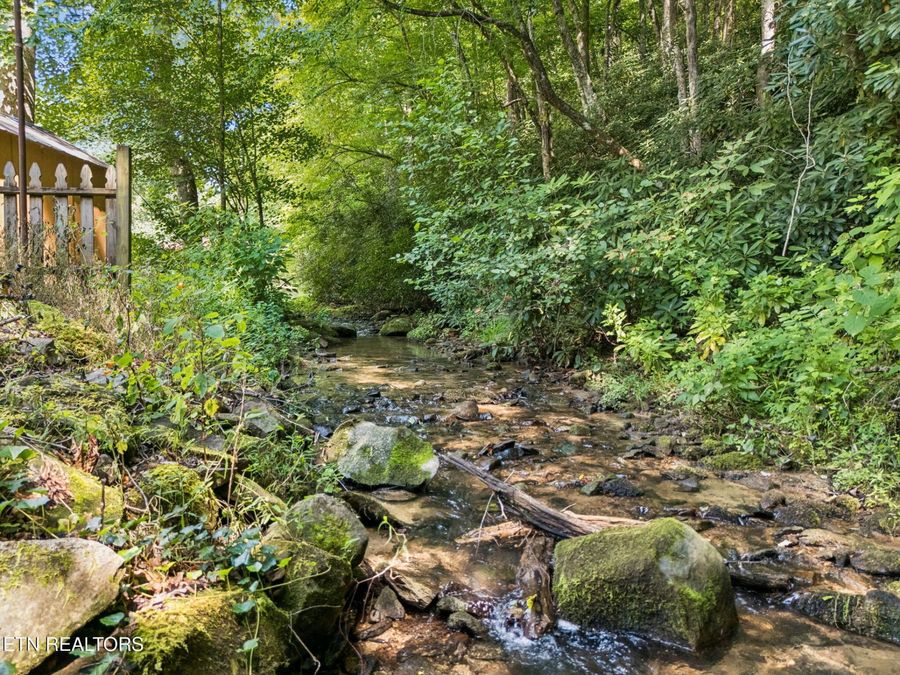 Property Image 57