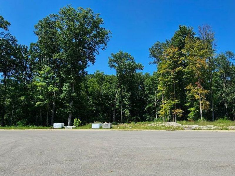 8447 Meacham Court, Powell, OH 43065 Photo 1