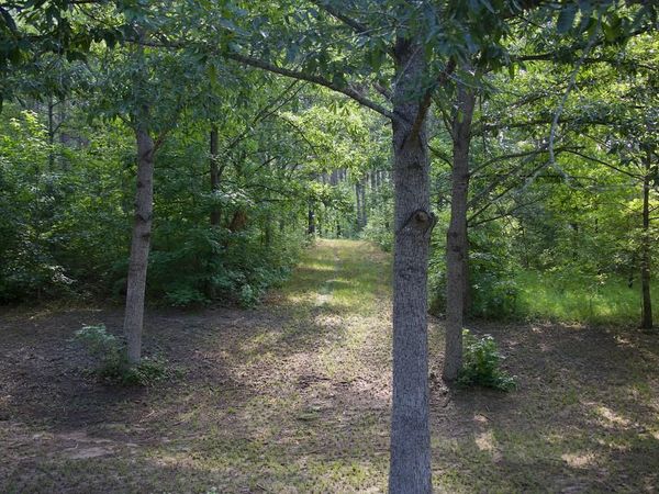 214 Mississippis 310, Waterford, MS 38685