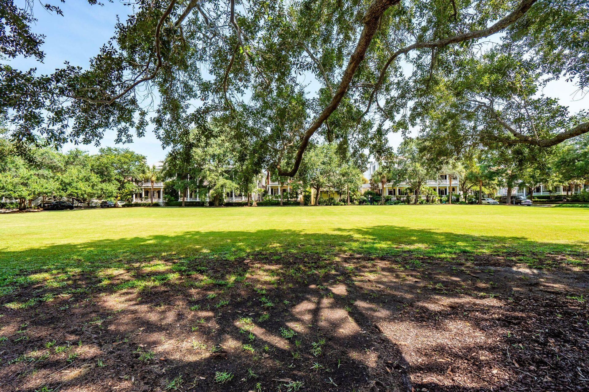 24 Nolen Way Photo 46