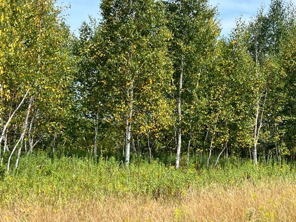 00000 State HWY 48 , Hinckley, MN 55037