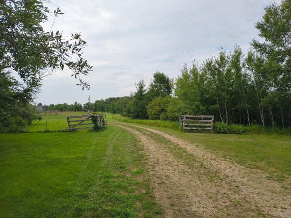 TBD Buckskin Road NE, Carlos, MN 56319