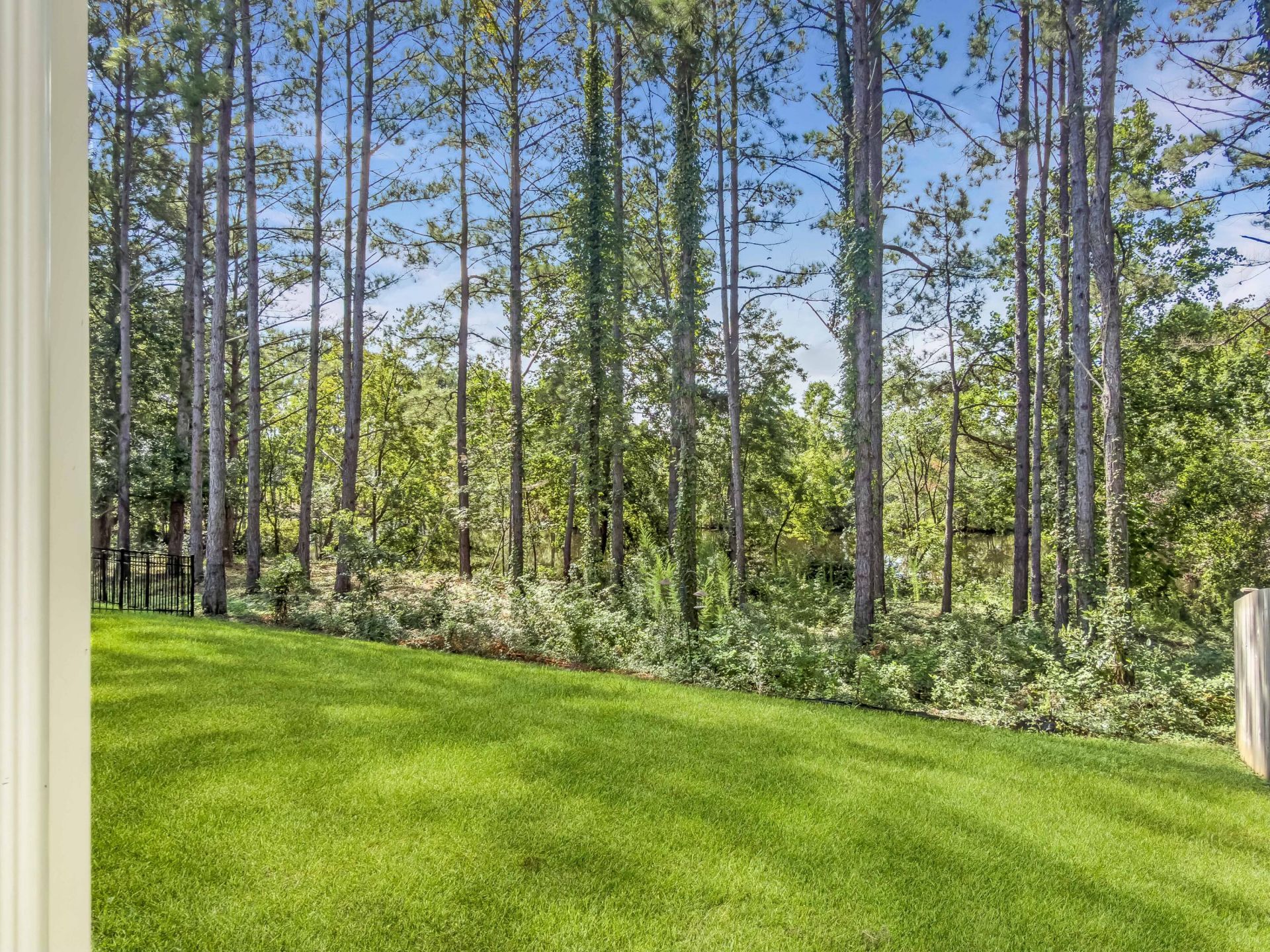 144 Tawney Forest Road Photo 29