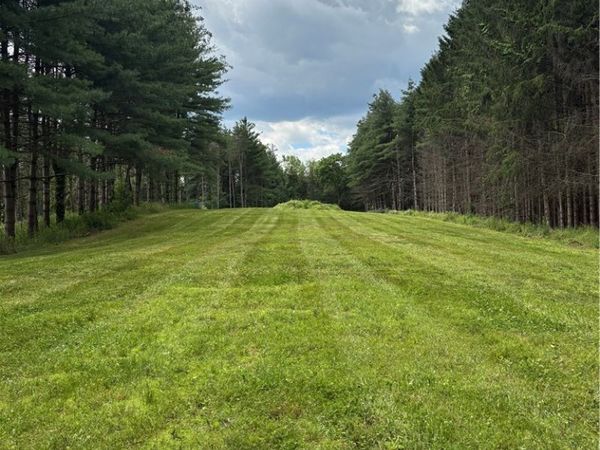 3939 Stalker Road , Macedon, NY 14502