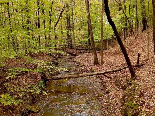 7368 Overbey Rd , Fairview, TN 37062