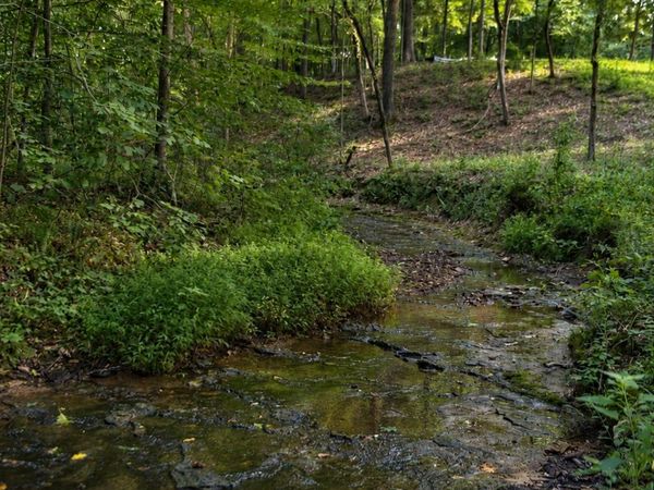 7368 Overbey Rd, Fairview, TN 37062