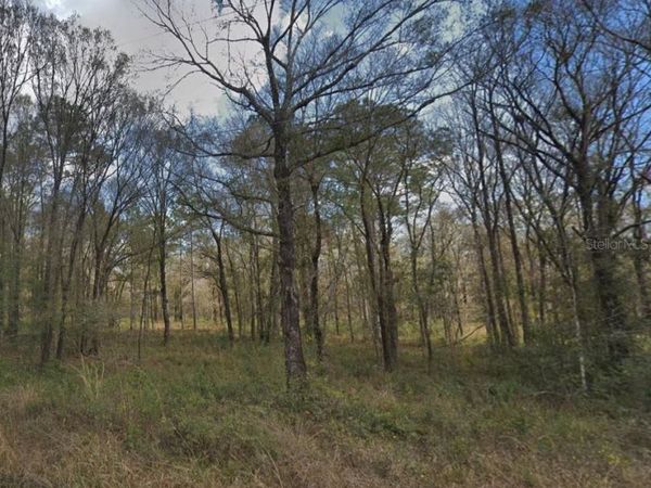 10300 STYCKET AVENUE , HASTINGS, FL 32145