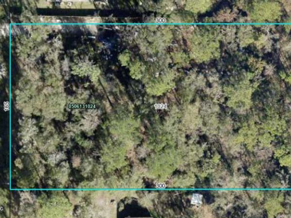 10300 STYCKET Avenue, Hastings, FL 32145