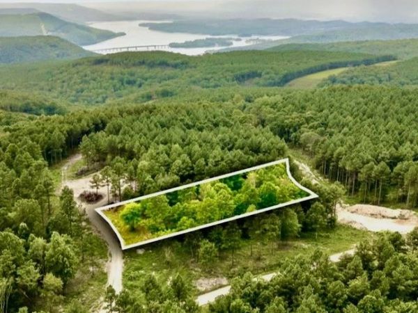 0 Treetop St Lot 1338 , Unit 1338, Guild, TN 37340