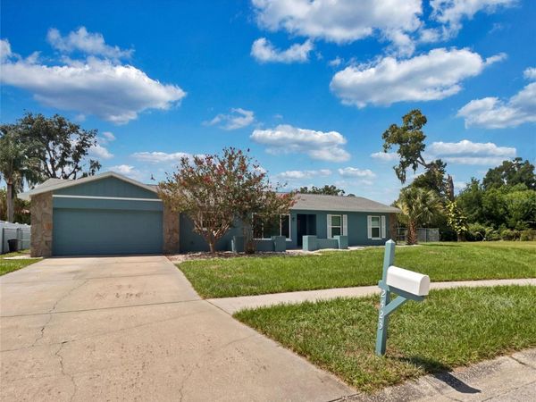2423 BUCKHORN MANOR DRIVE , VALRICO, FL 33594