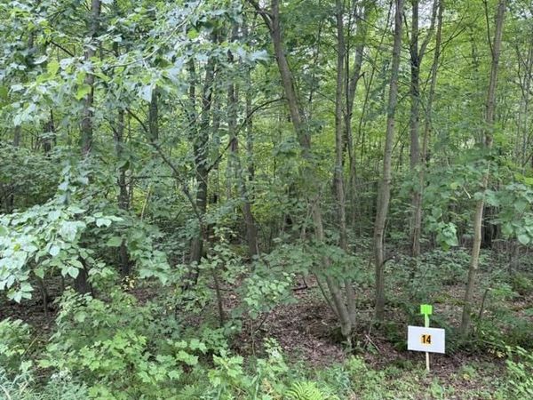 Lot 14 BURMA ROAD, Mosinee, WI 54455