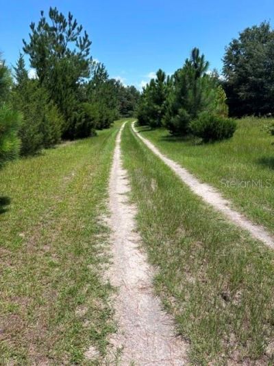 13270 NW 3rd Terrace , Trenton, FL 32693 Photo