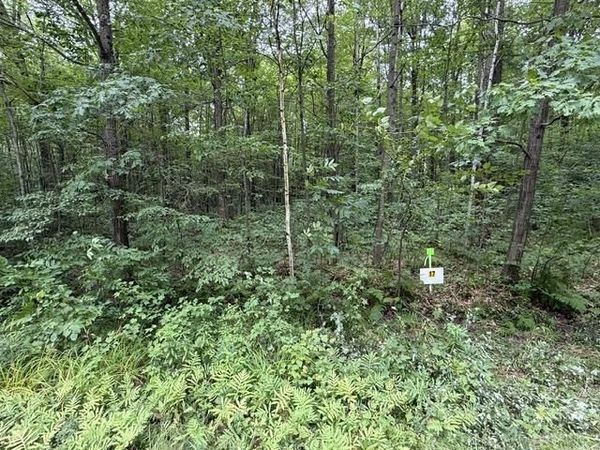 Lot 17 BURMA ROAD, Mosinee, WI 54455