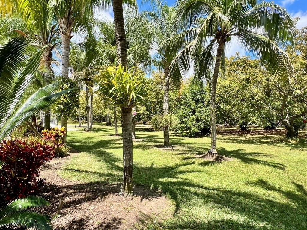 19345 SW 240th St, Homestead, FL 33031 Photo