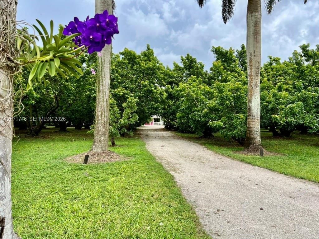 19345 SW 240th St, Homestead, FL 33031 Photo