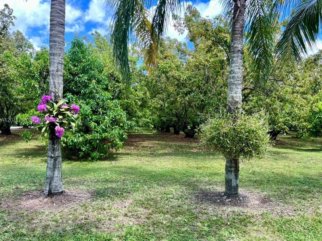 19345 SW 240th St, Homestead, FL 33031 Photo