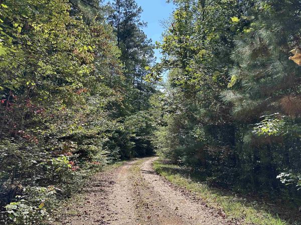 0 Co Rd 3034, Double Springs, AL 35553