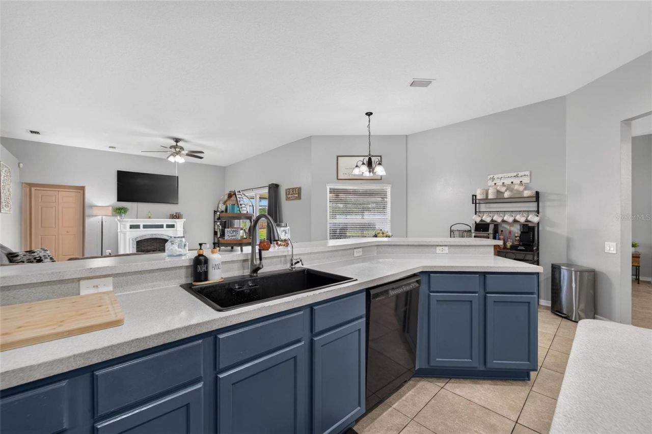 1617 Avondale Ridge Drive, Plant City, FL 33567 Photo